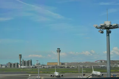 DSC_4042 (Large).JPG